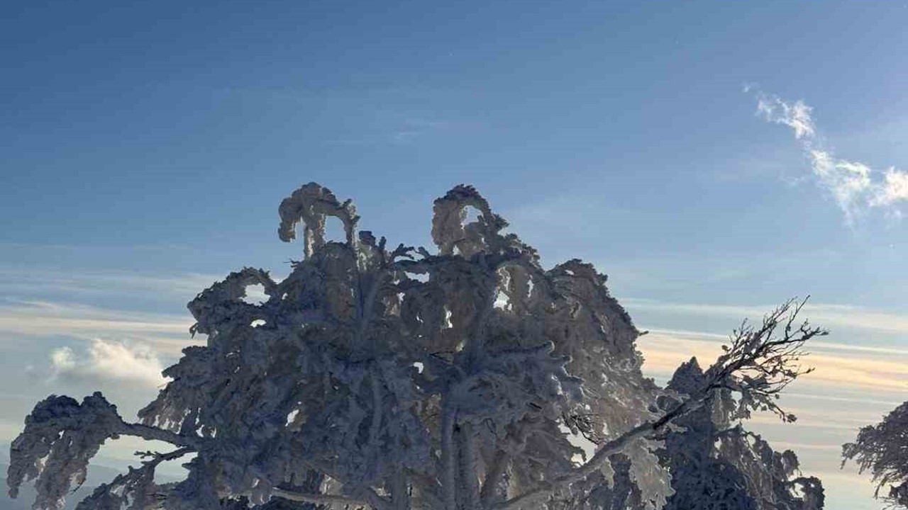 Sibirya değil Çataldağ
