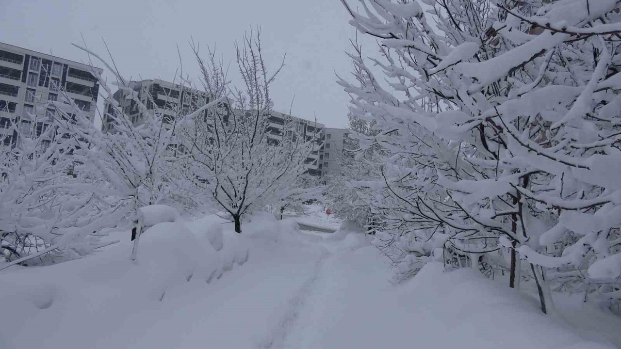 Bitlis’te kar esareti, 229 köy yolu ulaşıma kapalı
