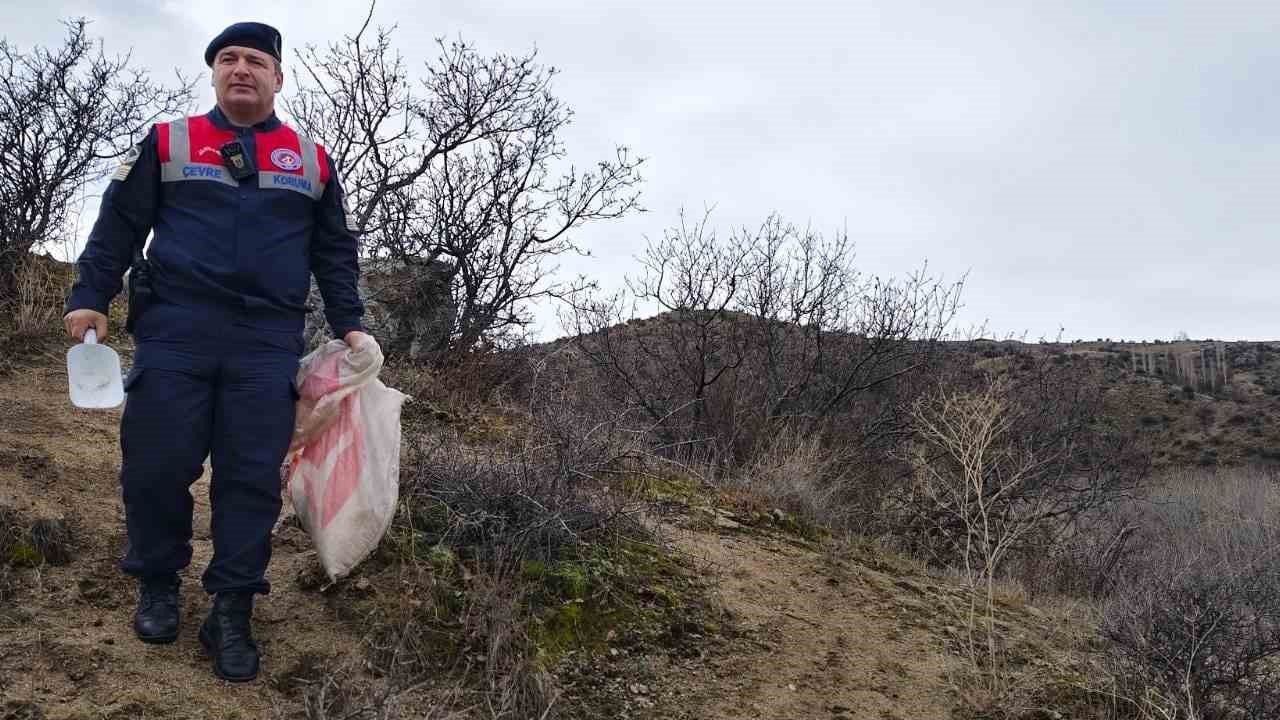 Jandarma ekipleri doğadaki canlıları unutmadı
