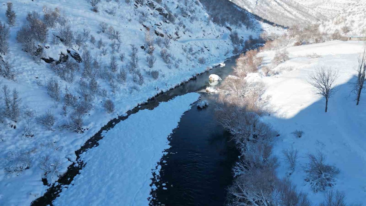 Masalsı görüntülerin adresi Şırnak
