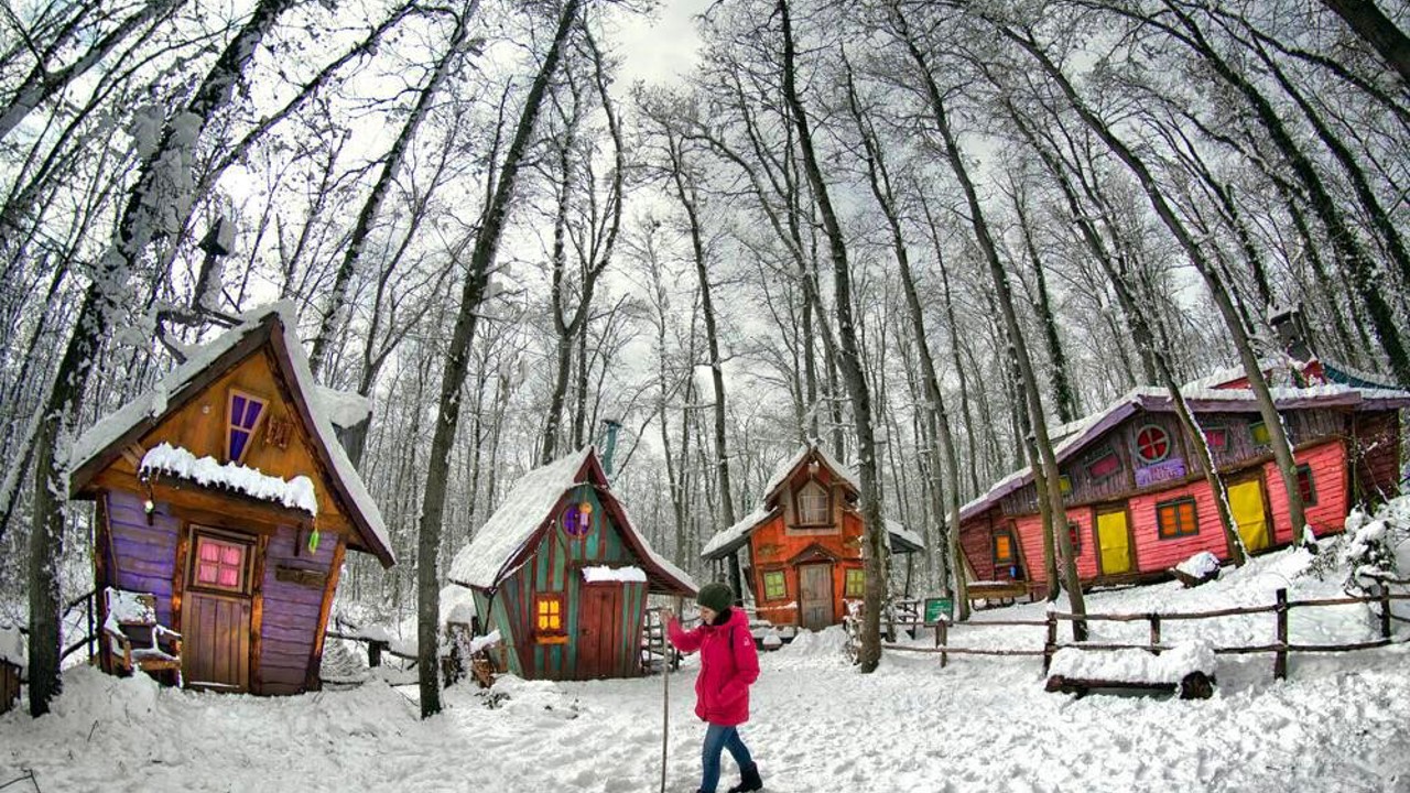 Avrupa’nın en büyük doğal yaşam parkı Ormanya beyaz örtüyle kaplandı
