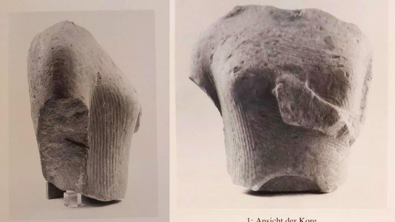 Doğaseverler Yılancıburnu’nun önemine dikkat çekti
