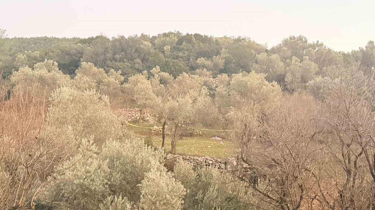 Tarlada aniden fenalaşan bir kişi hayatını kaybetti
