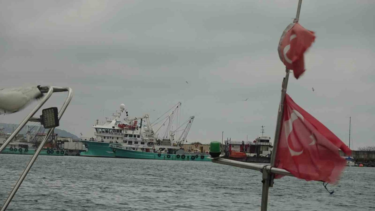 Türkiye’yi terk eden hamsinin yolu gözleniyor
