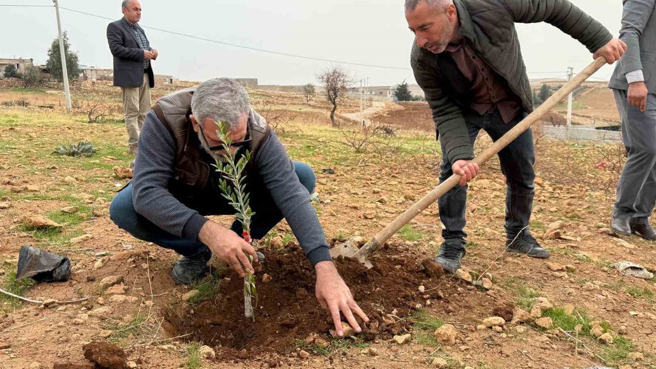 Zeytinli Mahallesi sıfır atık köyü olma yolunda ilerliyor

