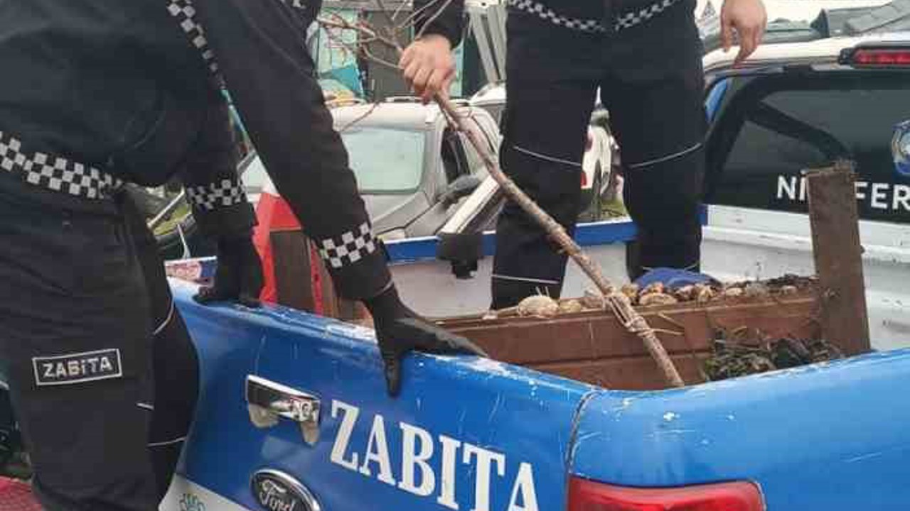 Nilüfer’de kaldırımlar işgallerden arındırılıyor
