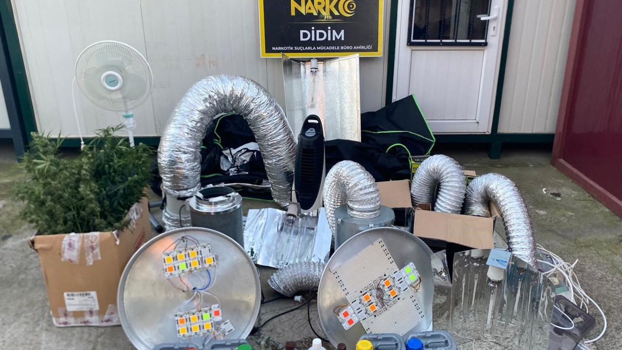 Didim’de uyuşturucu operasyonu: Kenevir yetiştirme kabini ele geçirildi
