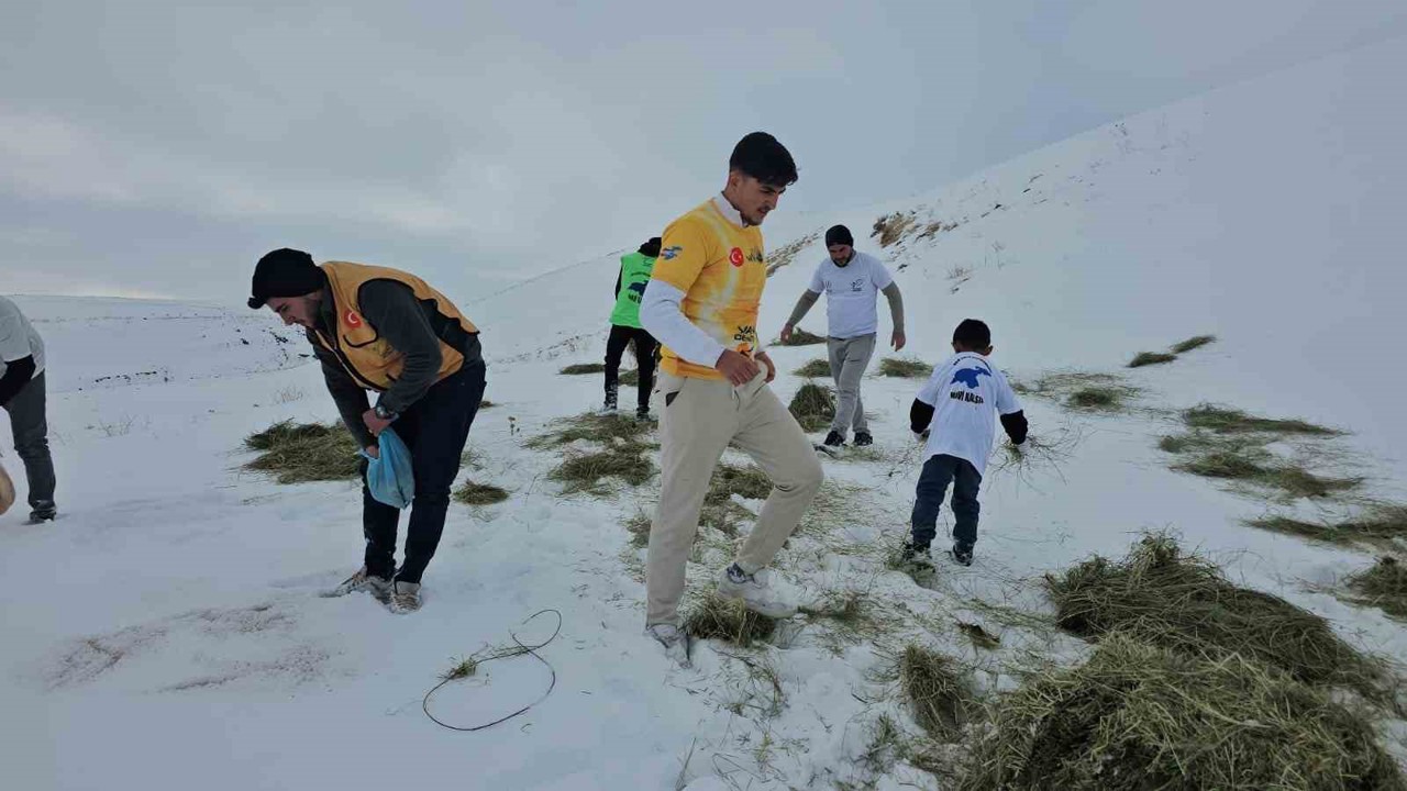 Adilcevaz’da yaban hayvanları unutulmadı: Aktivistlerden Süphan Dağı eteğine yem bıraktı

