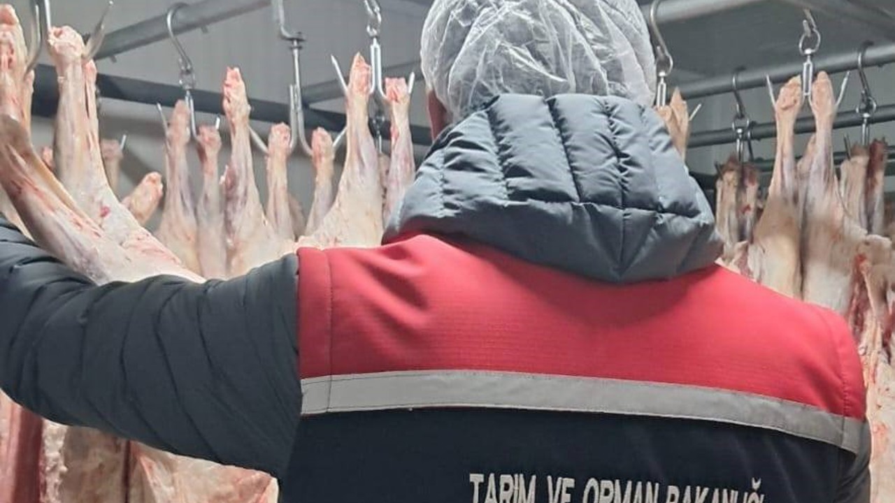 Gıda satışı yapan işletmeler denetlendi
