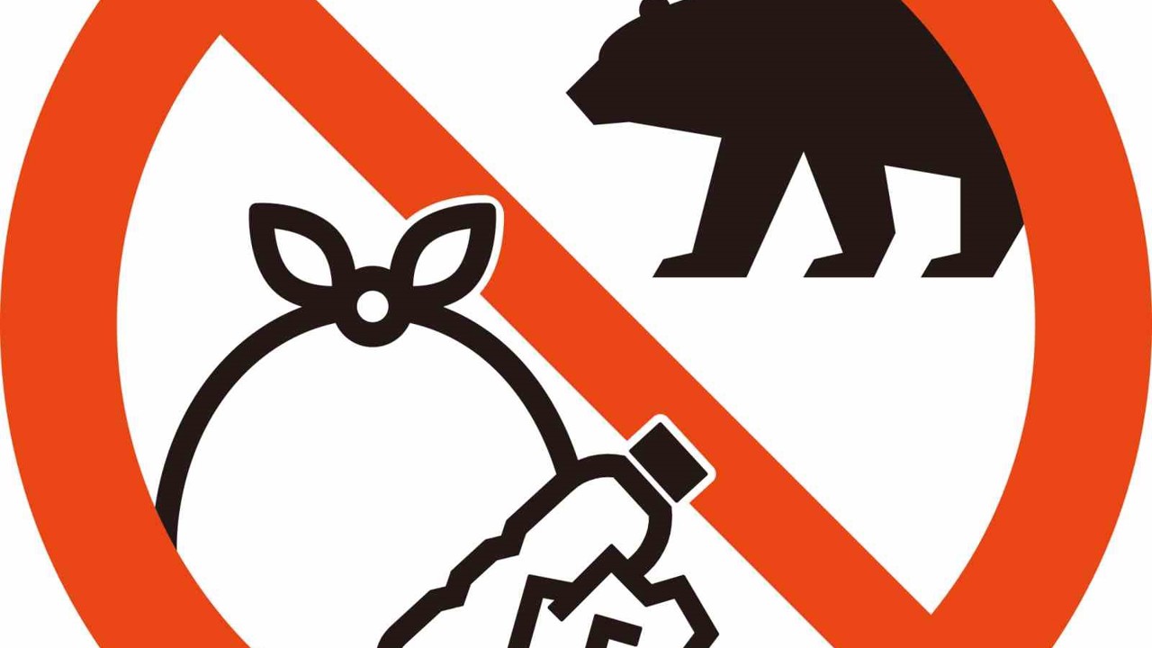 Japonya, turistleri ayılardan korumayı amaçlayan yeni uyarı işaretlerini tanıttı
