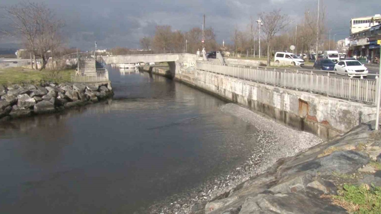 Menekşe sahilinde sular çekildi, tekneler geçişlerde zorluk yaşadı
