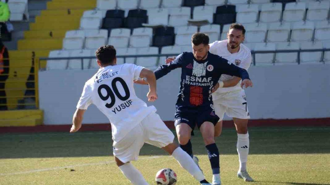 TFF 2. Lig: Somaspor: 1 - Fethiyespor: 2
