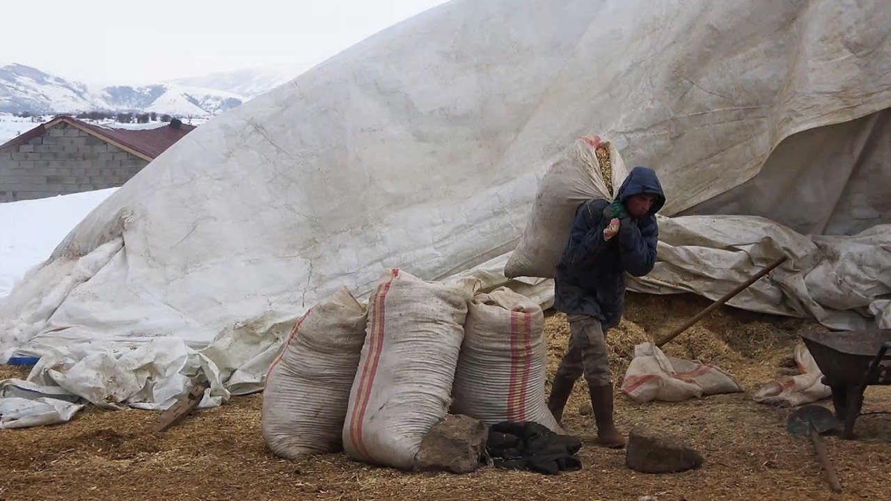 Tatvan’da yayladan besiye dönüş
