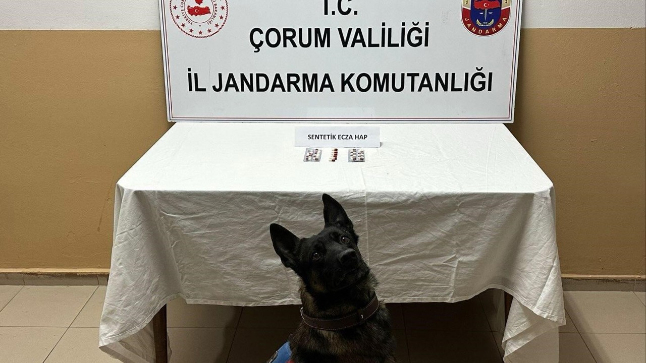 Çorum’da uyuşturucu hapla yakalanan 3 kişi gözaltına alındı
