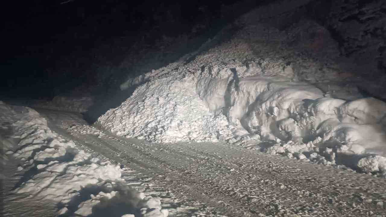 Şırnak yoluna çığ düştü, karayolu 2 saat ulaşıma kapandı
