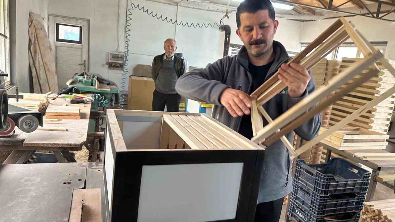 Futbolda rekabet arıcılara yansıdı; renkli kovanlar revaçta
