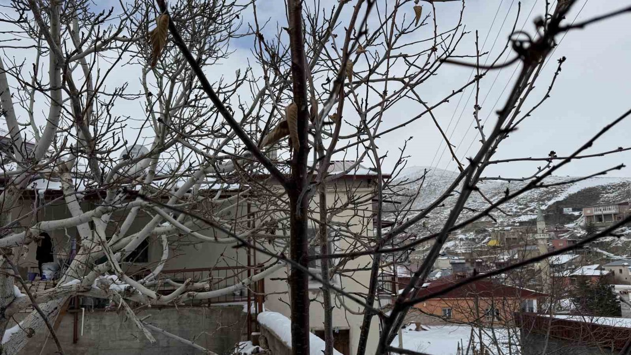 52 yılın en kurak zamanını geçiren çiftçi yağışlarla sevindi: İkinci üründe su sıkıntısı yaşanmayacak
