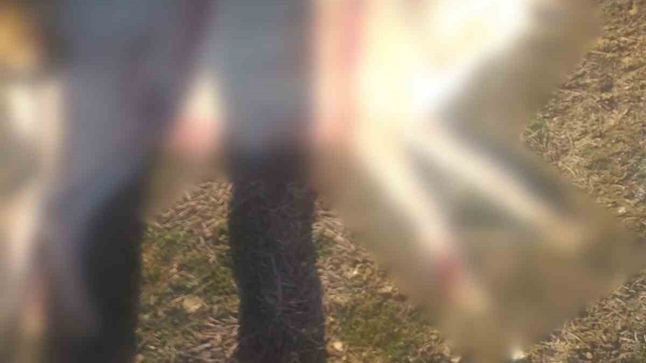 Burdur’da köpeklerin silahla öldürüldüğü iddialarına valilikten açıklama
