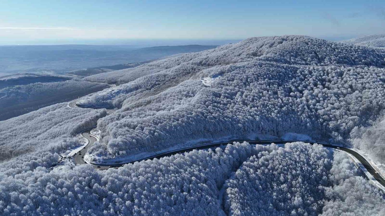 Istranca ormanlarında kar manzaraları
