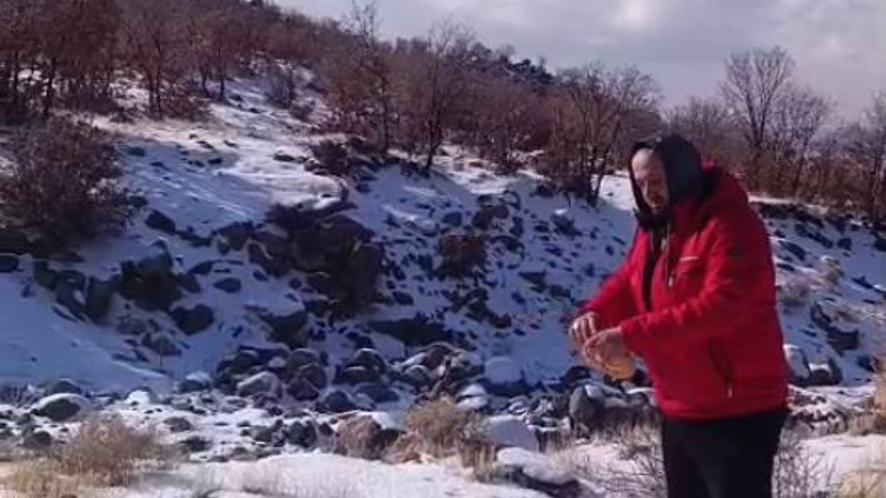 Kar yağışı Karacadağ’daki yaban hayatını zorladı
