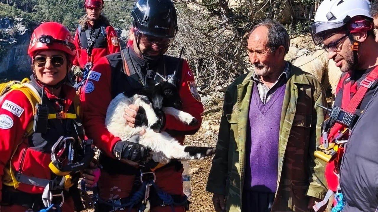 Uçurumdan düşen kuzuyu ekipler kurtardı
