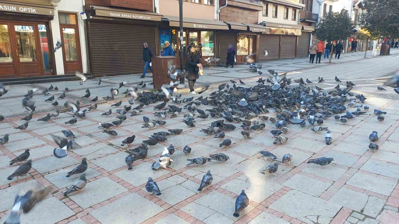 Soğukta üşüyen kuşlar için 5 kilometrelik şefkat yolculuğu
