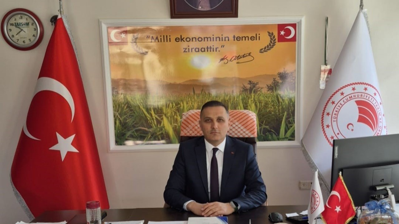 Çiftçilere yüzde 50 hibeli ayçiçeği tohumu dağıtılacak
