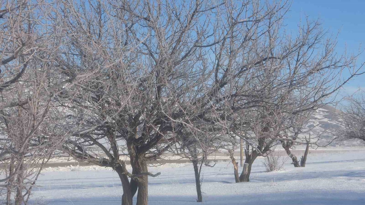 Van’da Sibirya soğukları hayatı olumsuz etkiliyor
