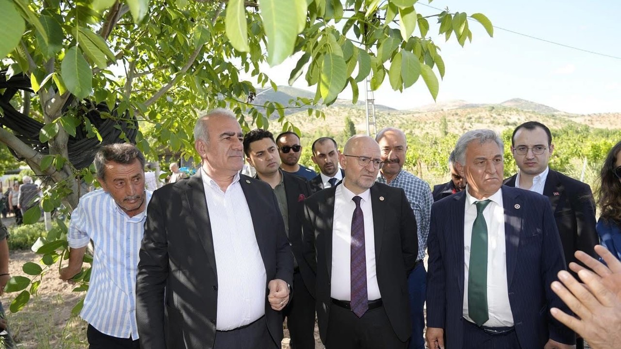 Trabzon hurması, dut ve incire destek ödemesi başladı
