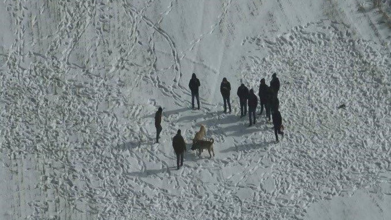 Nevşehir’de köpek dövüşüne jandarma baskını
