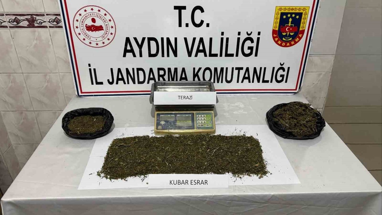 Aydın’da uyuşturucu operasyonu
