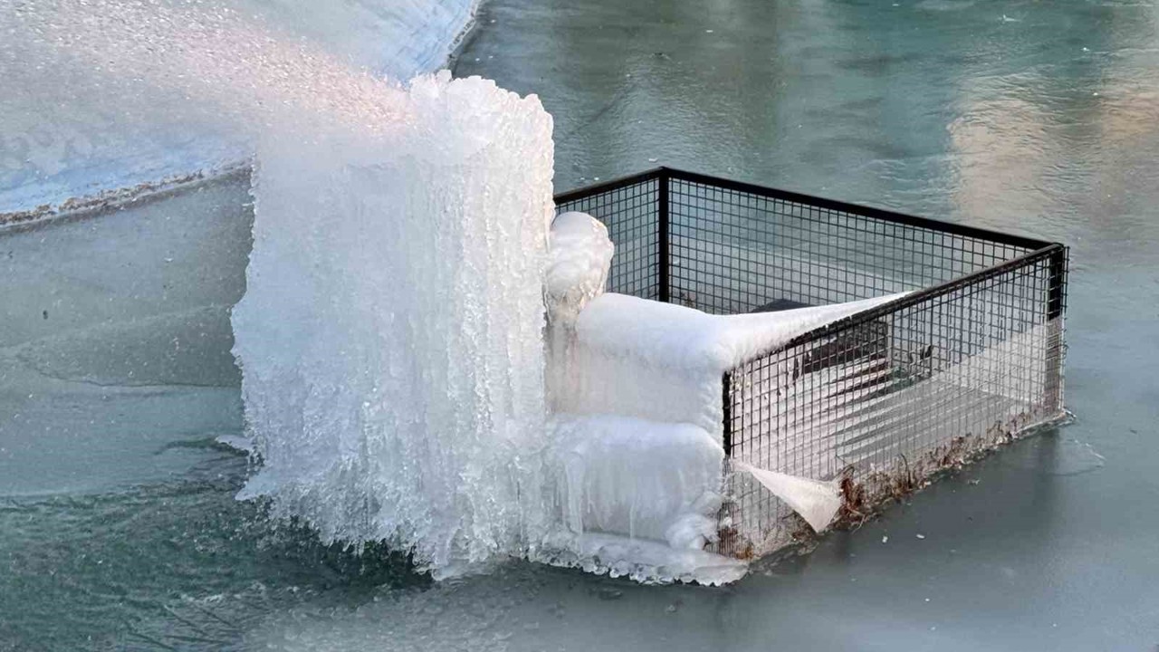 Süs havuzları buz heykeline dönüştü
