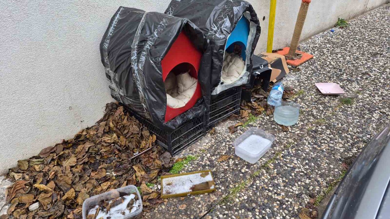 Vatandaşlardan sokak hayvanları için örnek davranış
