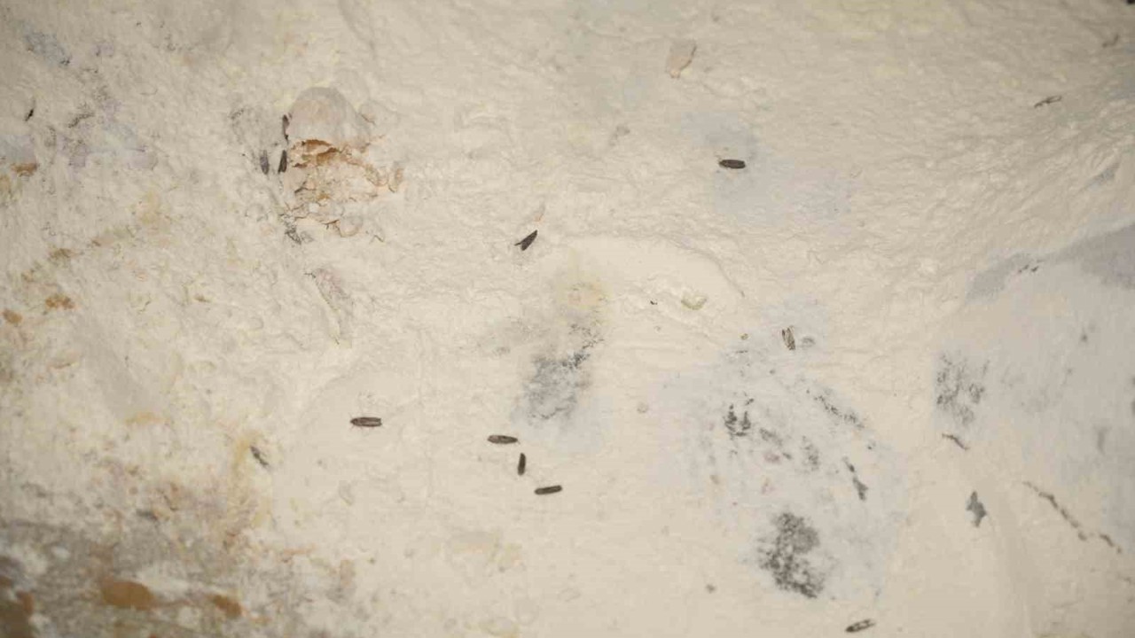 Yenişehir Belediyesi’nden YESAŞ’a hijyen cezası
