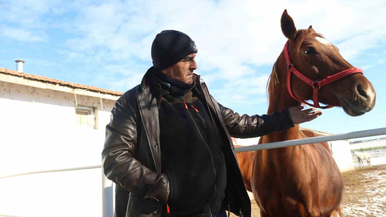 At yetiştiriciliğinin kış zorlukları
