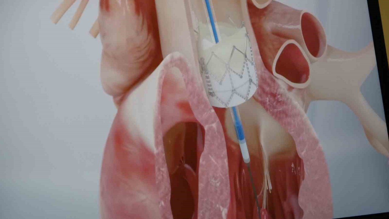 Prof. Dr. Pekdemir: "Gençlerde ani ölümlerin yüzde 90’ı genetik nedenlerden kaynaklanıyor"
