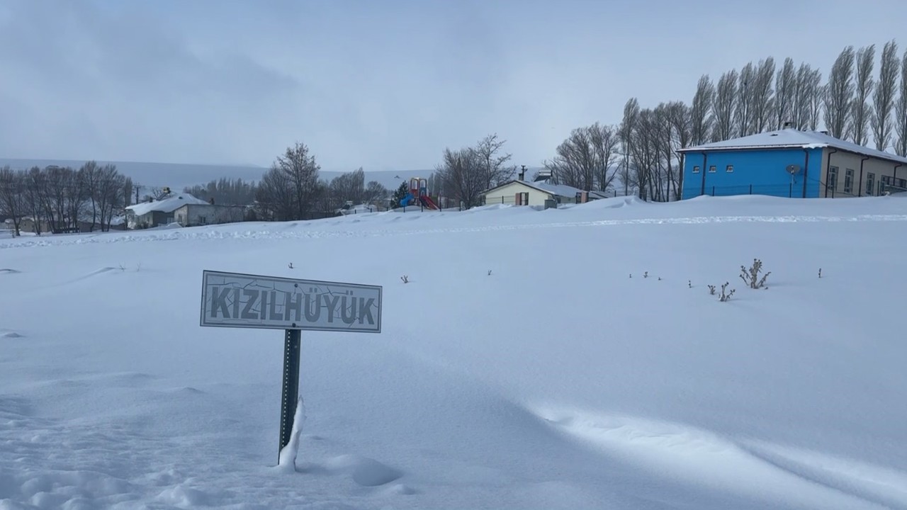 Köyün kâbusu olan kurtlar için araziye yiyecek bırakıldı
