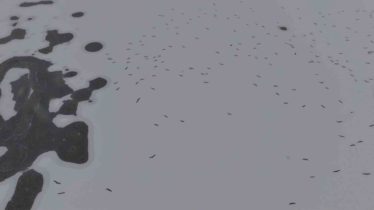 Cip Baraj Gölü buz tuttu
