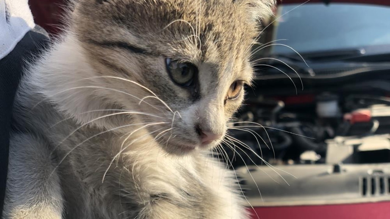 ‘Kontağı çevirmeden kaputa vurun’ uyarısı
