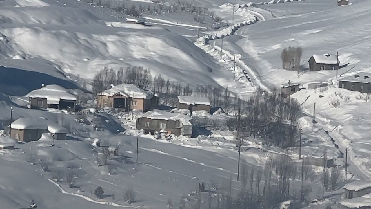 Yüksekova’da çiftçilere "kurt saldırısı" uyarısı
