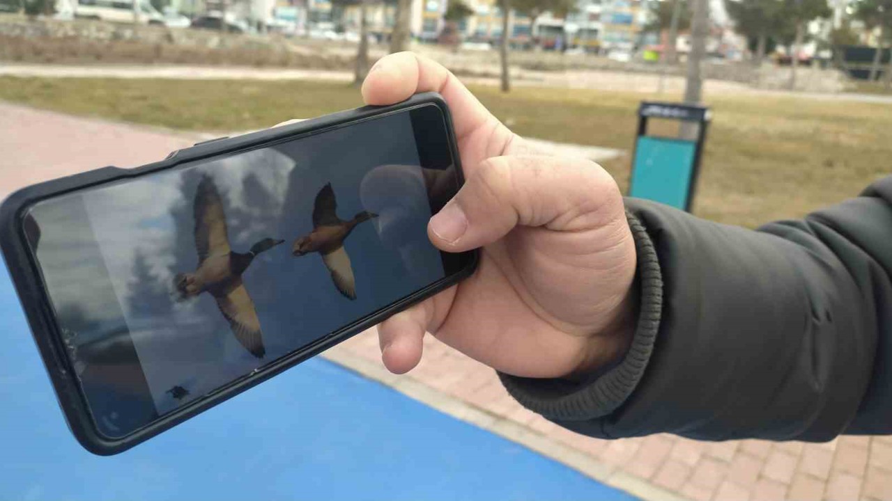 Astsubaylıktan kuş fotoğrafçılığına, Beyşehir Gölünde bir doğa sevdalısı
