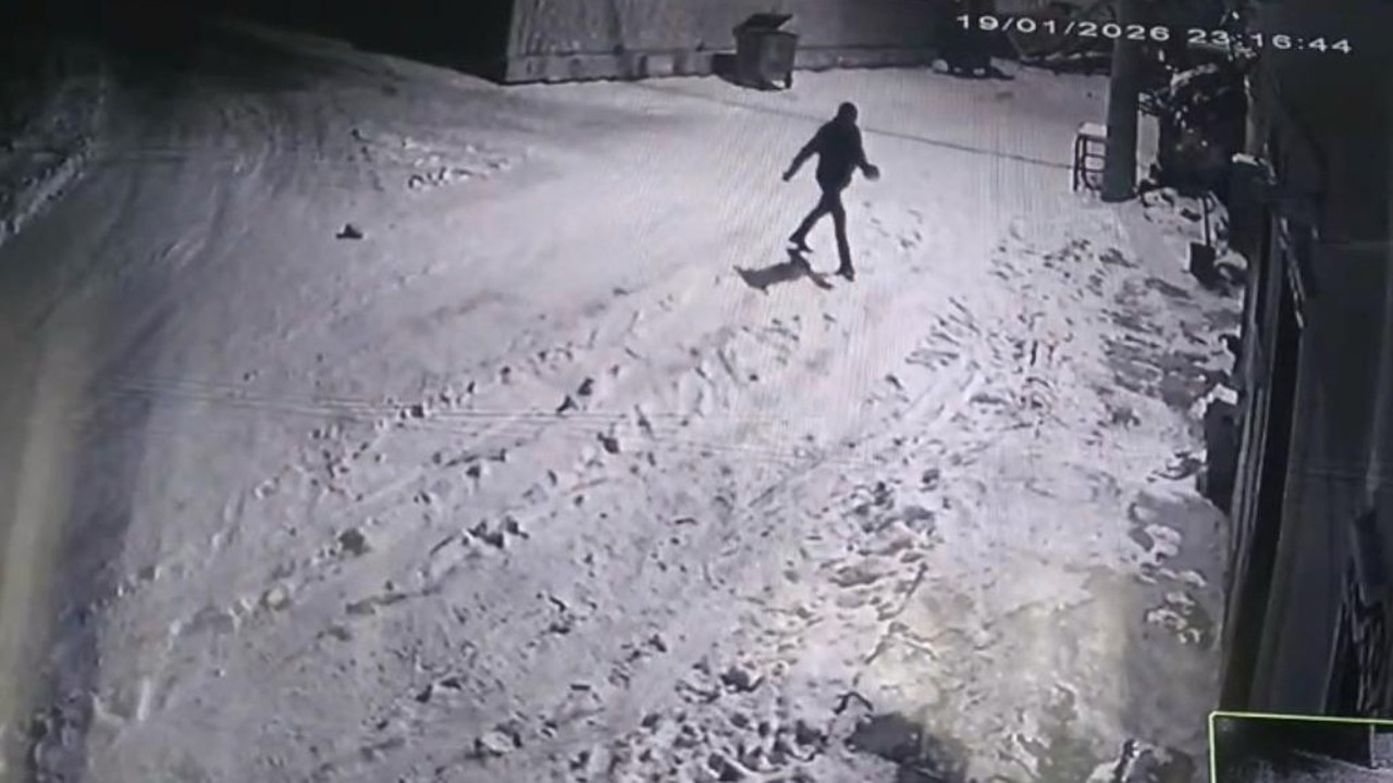 Bahçesine giren kurtları çaydanlıktaki sıcak suyla kovaladı
