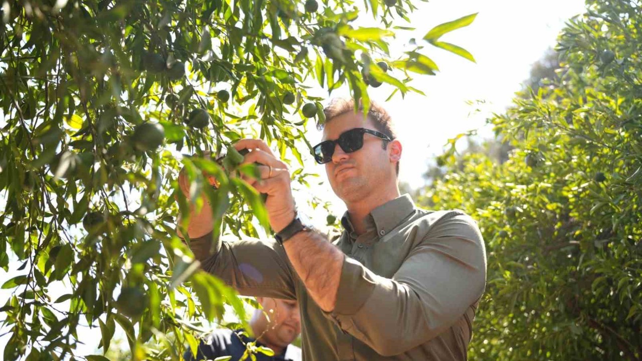 Bodrum Mandalini Türkiye’nin dört bir yanına ulaşıyor
