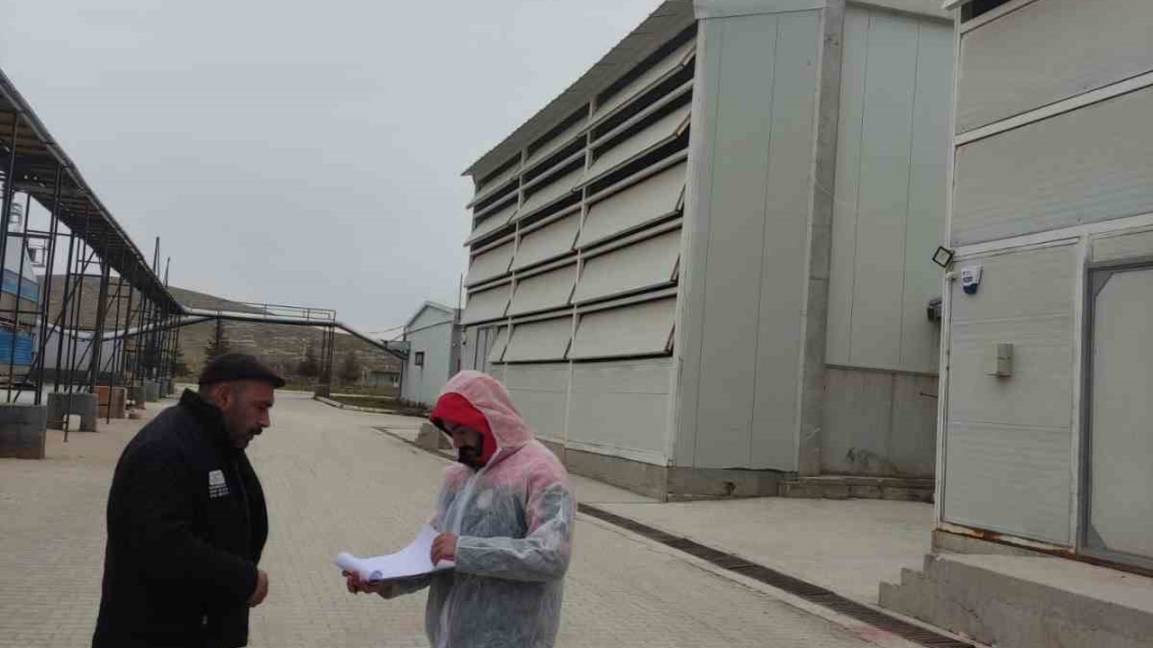 Kanatlı hayvan ve yumurta üretim tesislerinde denetim
