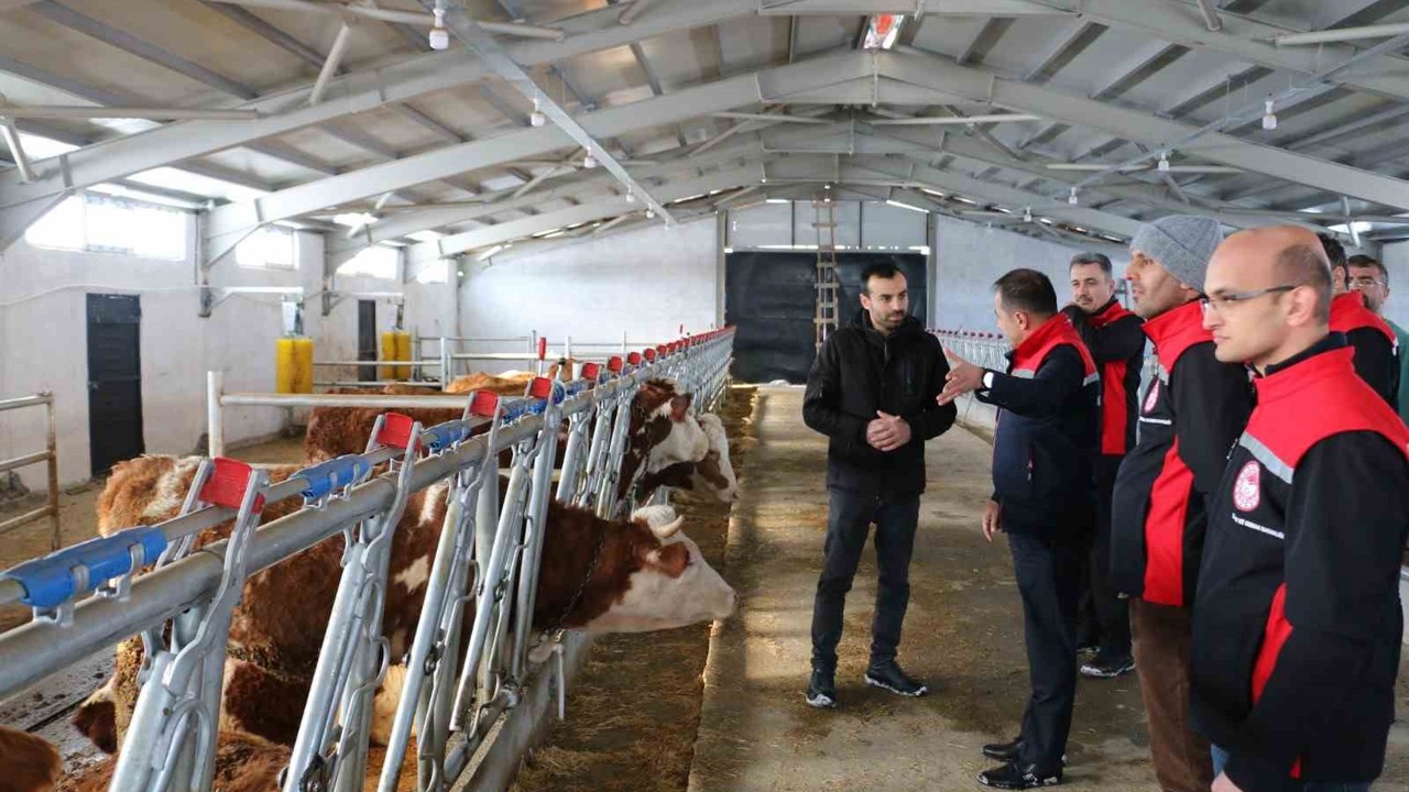 Erzincan’da hibe desteğiyle kurulan tesis üretime başladı
