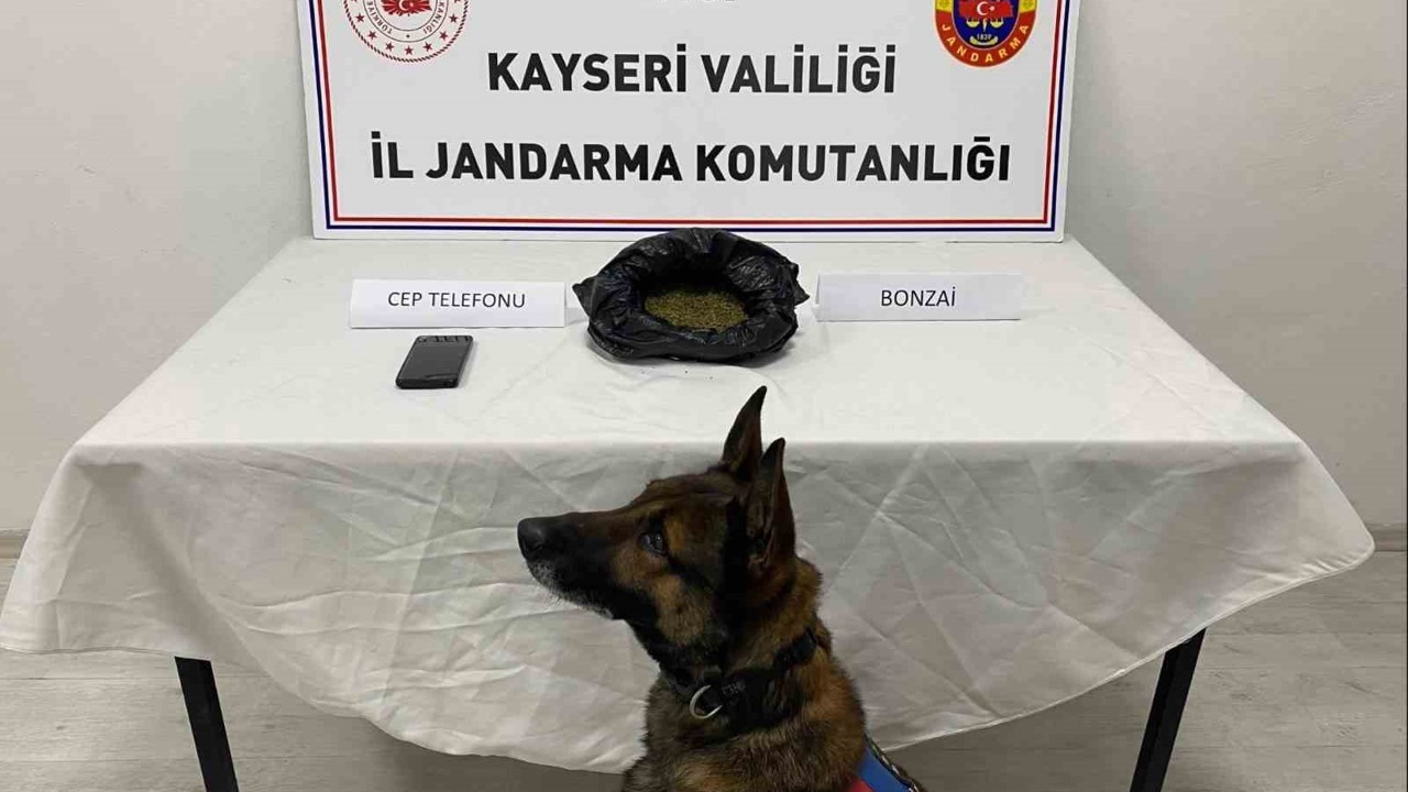 Kayseri’de uyuşturucu operasyonu: 1 gözaltı
