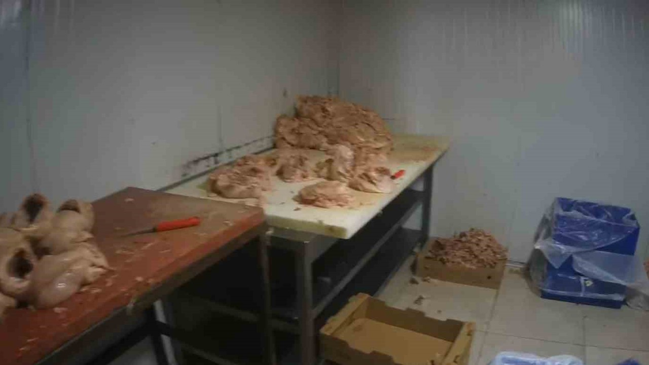 Kocaeli’de merdiven altı tavuk parçalama tesisine suçüstü
