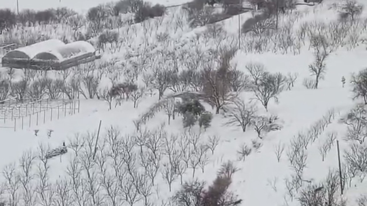 Diyarbakır’da aç kalan kurt sürüsü yerleşim yerine indi
