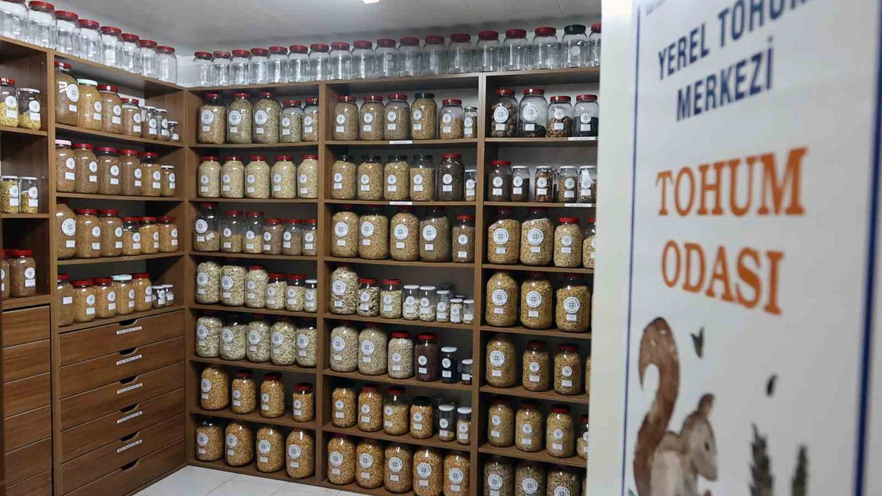 Muğla Büyükşehir 2026 yılında 3 milyon ata tohumu dağıtacak
