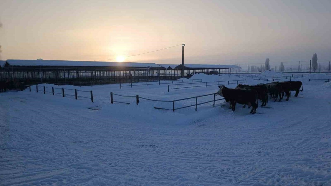 Türkiye’nin en büyük hayvan pazarı ağır kış şartları nedeniyle kapatıldı

